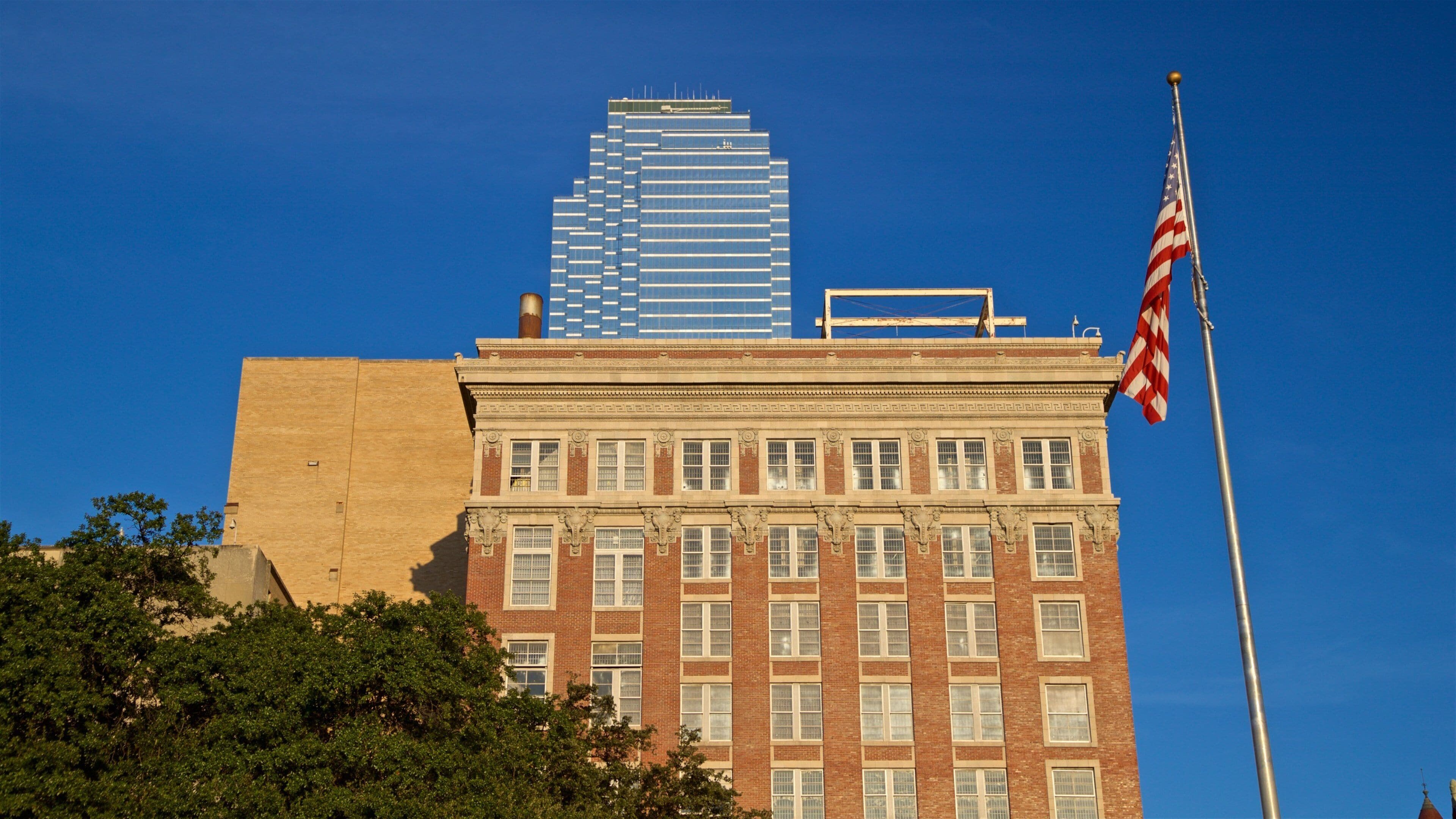 Artificial turf service in Richardson, TX