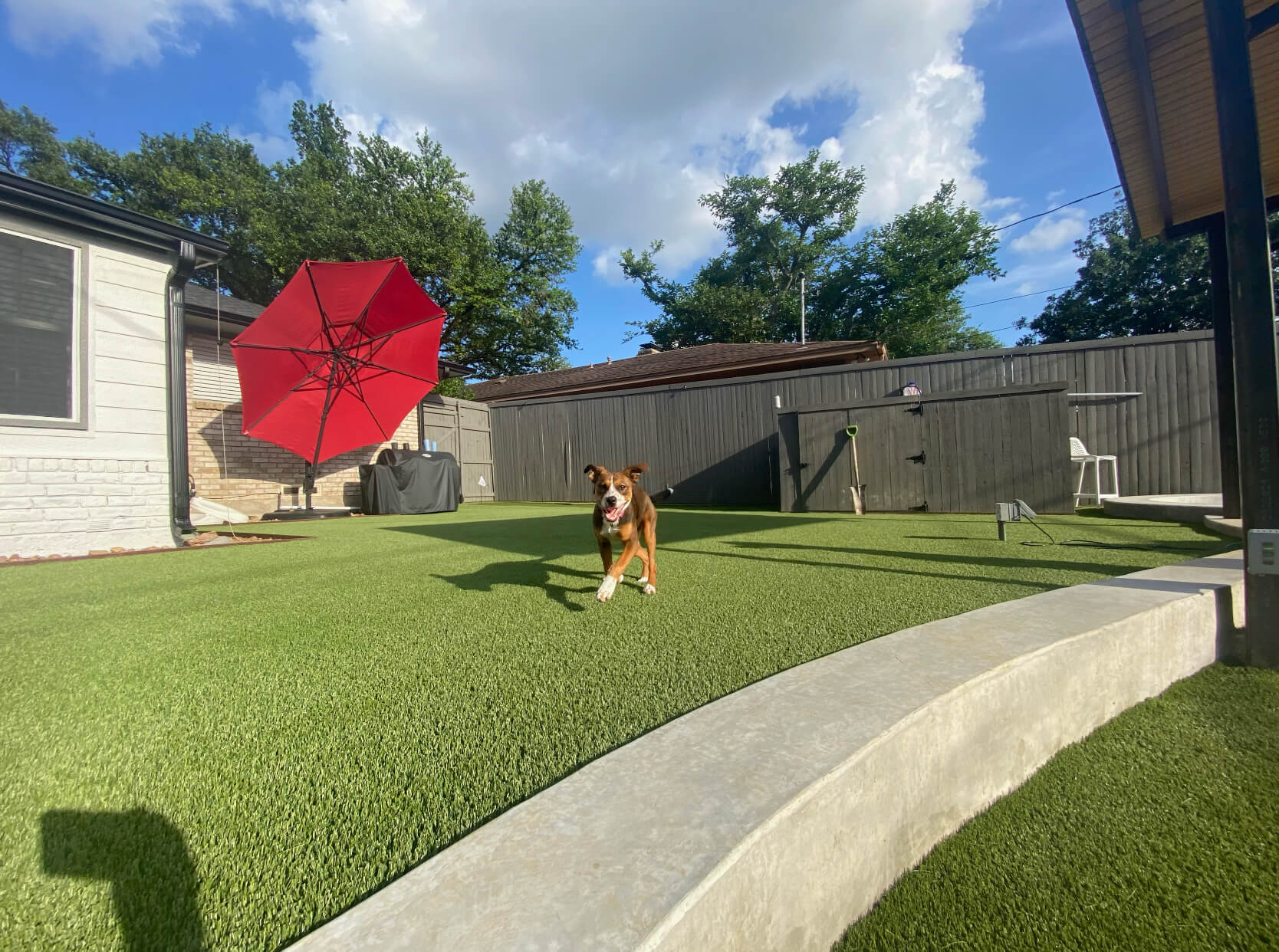 Pet Friendly Artificial Lawn in Rowlett, TX